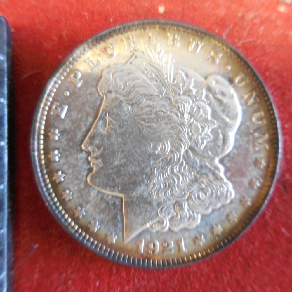 1921 Morgan Silver Dollar - Toning