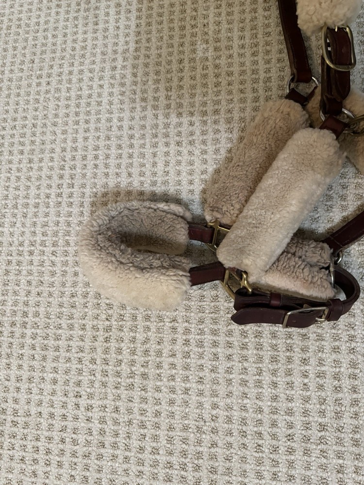 Sheepskin Shipping Halter