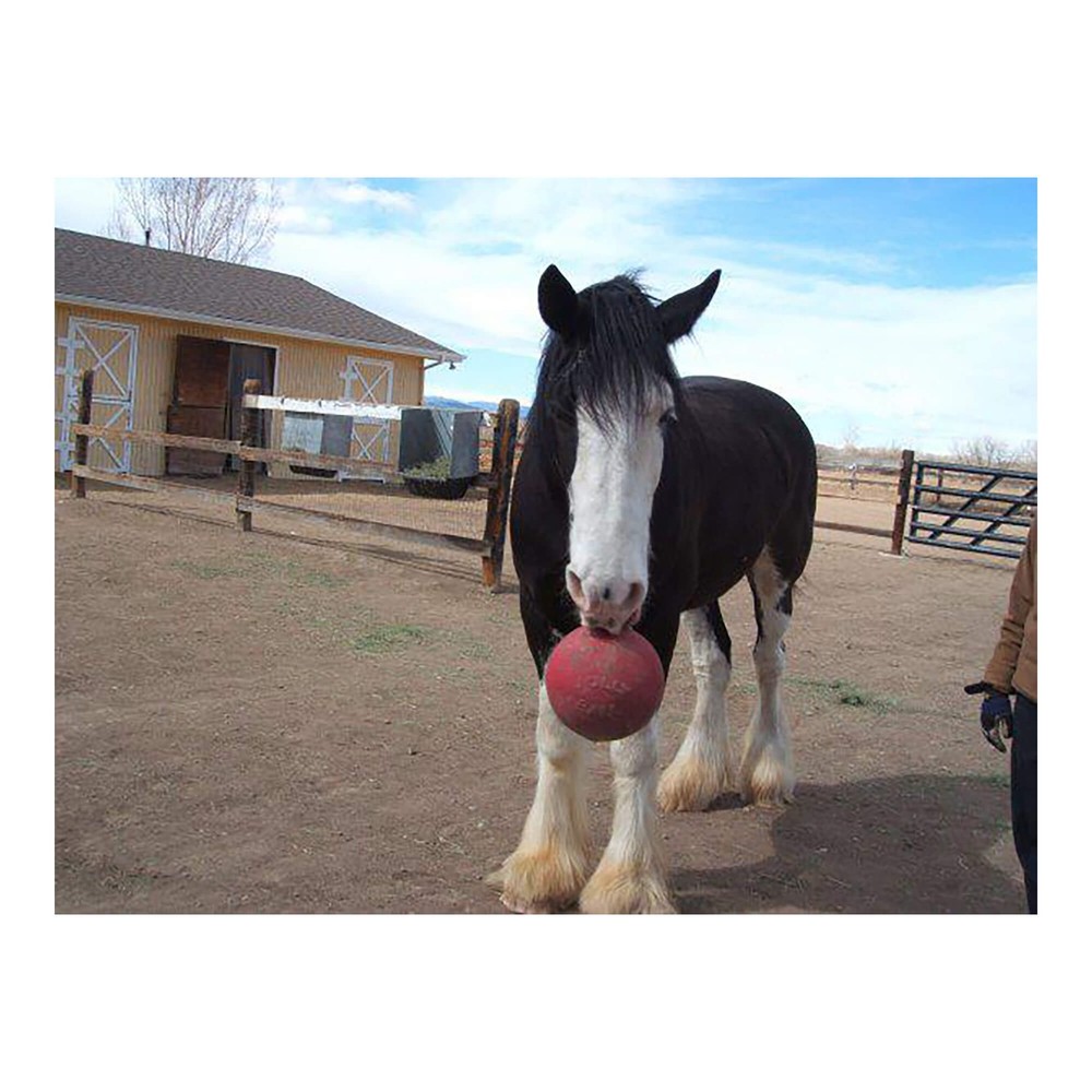 Jolly Ball