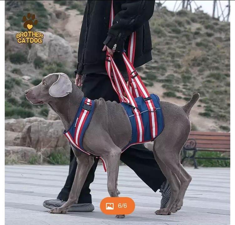 Brother CatDog Lift Harness Large