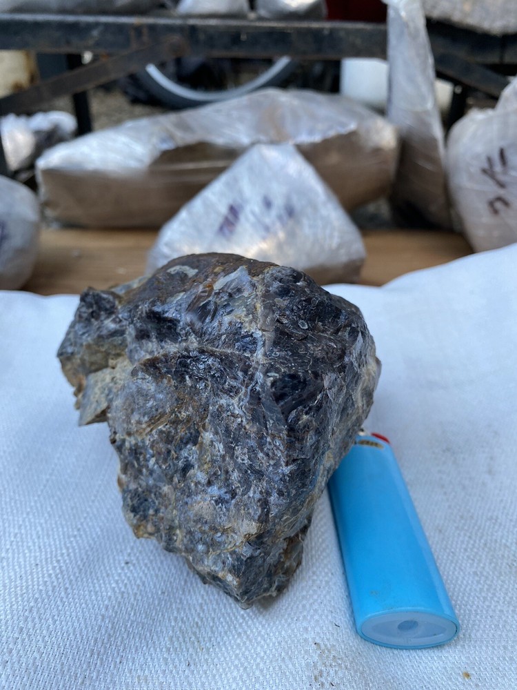 Fossilized And Opalized Fossils