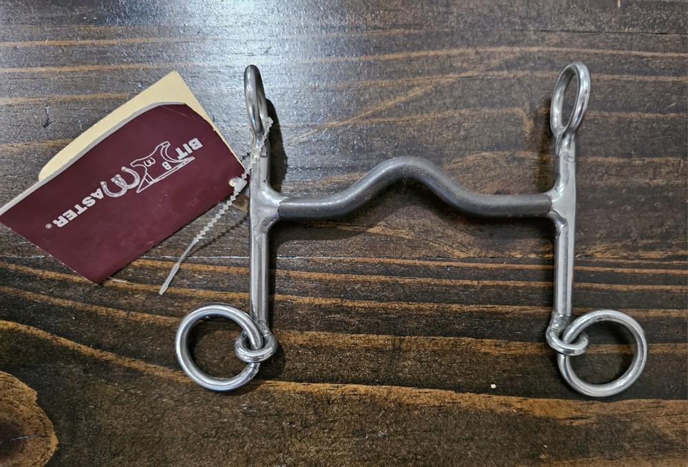 Big Horn Bit Master Solid Mouth Pony Bit