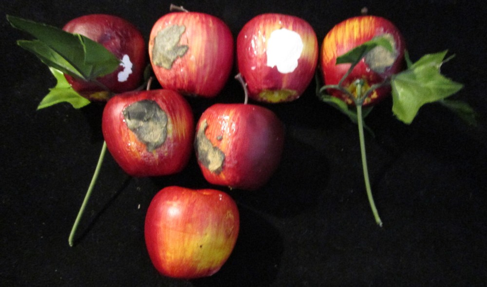 Apples- Mini Artificial-on string (New) plus bonus 7 medium sized (used) apples