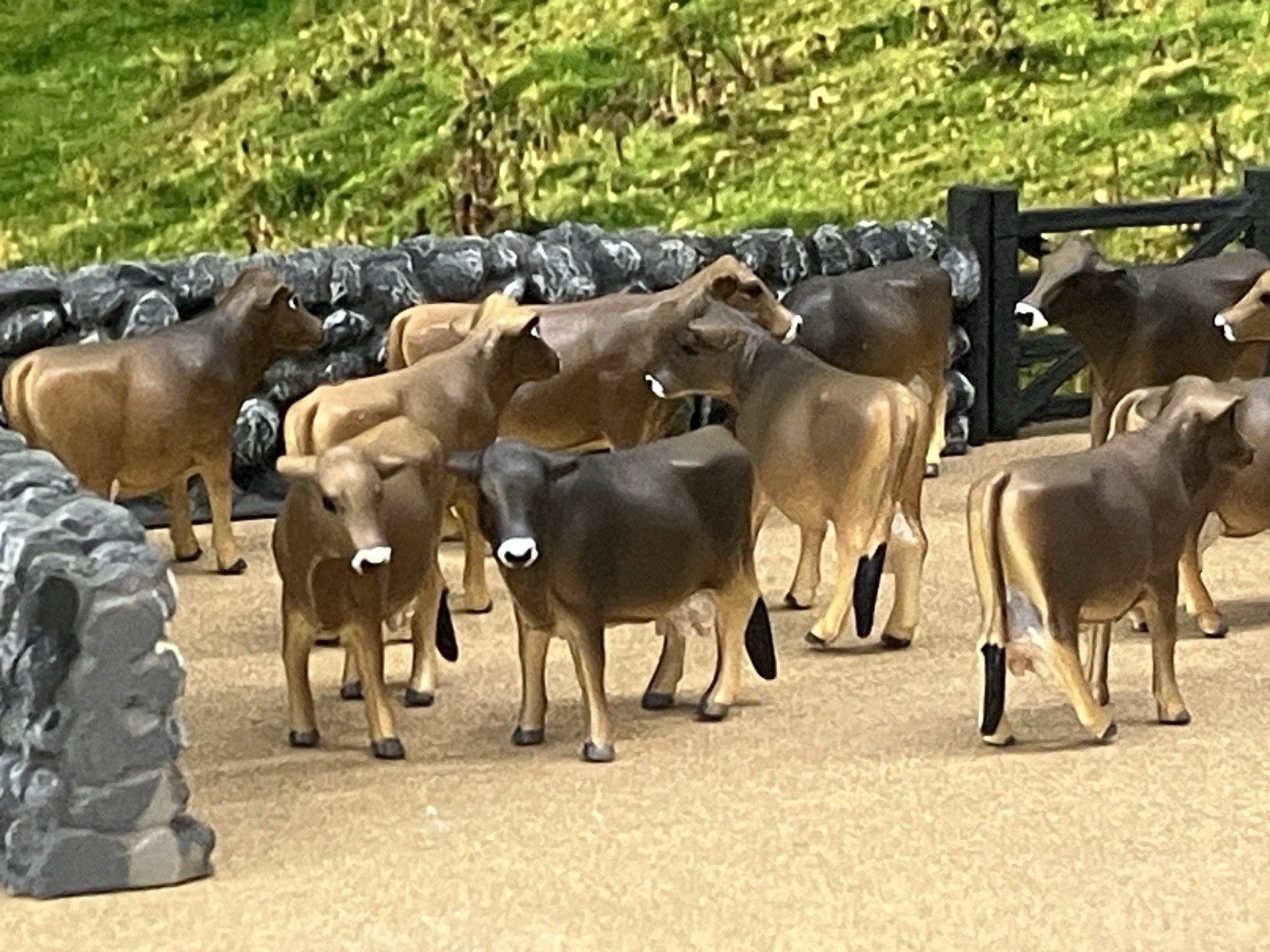 Custom CM Ertl 1:64 Lot Of 12 Jersey/Brown Swiss Milk Cows Cattle Farm Scene