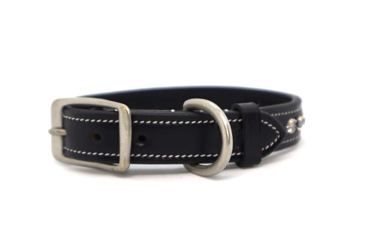 KL Select Impulsion Crystal Leather Dog Collar