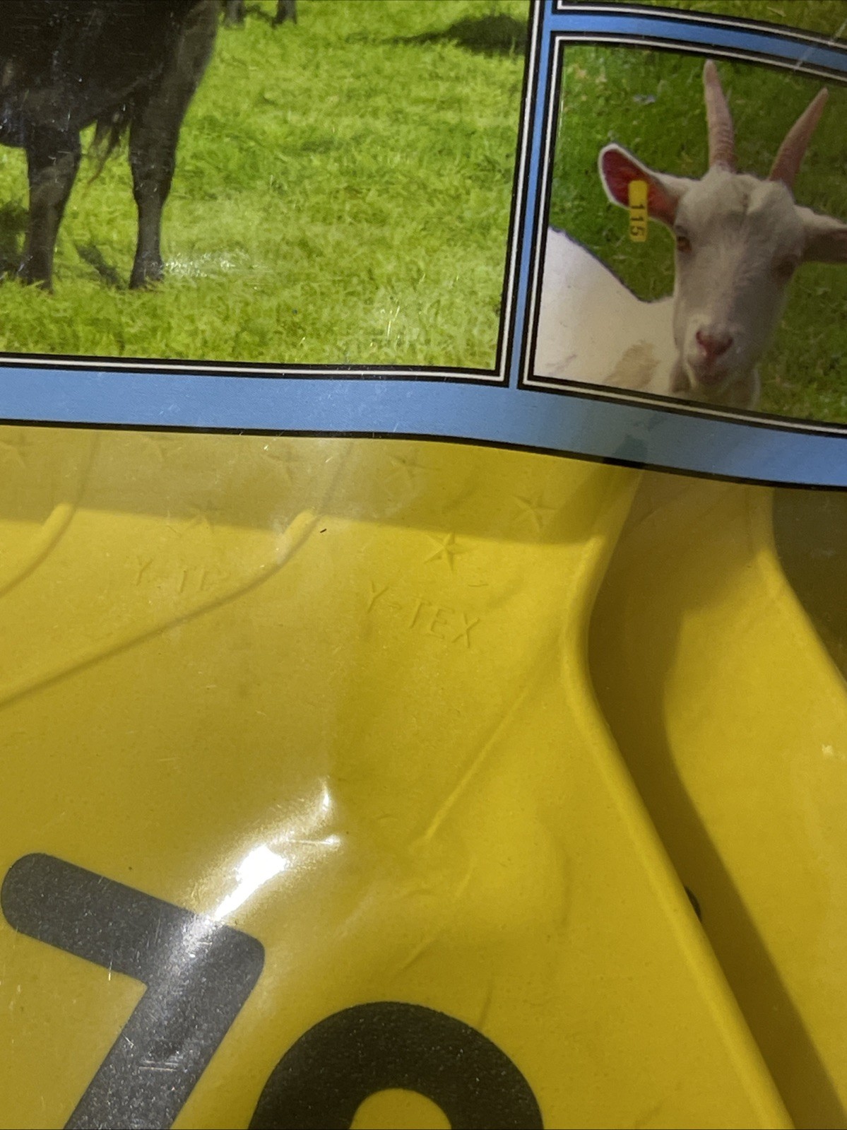 Y-Tex 4 Star Large Cattle Tags 25 Pack, 2 Piece Ear Tag System, Yellow, 76-100