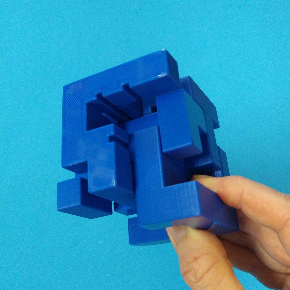 Proteus - Interlocking Assembly Maze Cube Puzzle