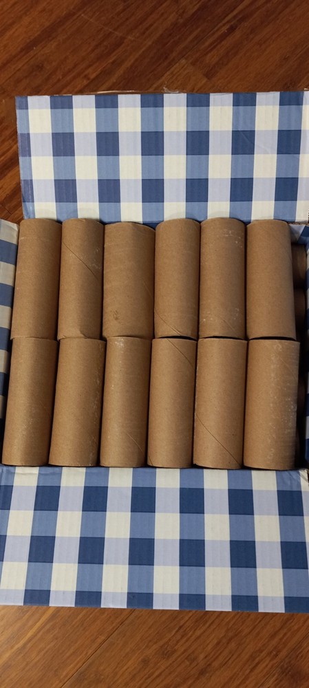 empty cardboard tubes for crafting 20 pieces