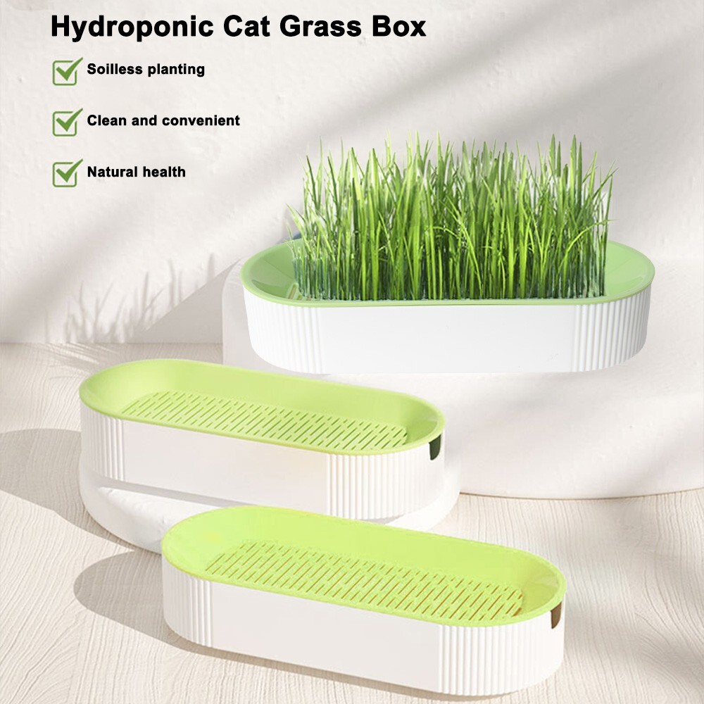 1PC Hydroponic Cat Grass Box Soilless Planting Double-layer Design Cat Grass Pot