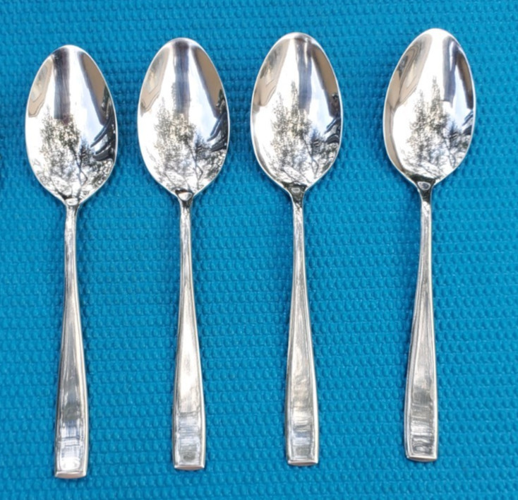 Studio Cuisine 19 Piece Flatware Set Silverware BLAIR