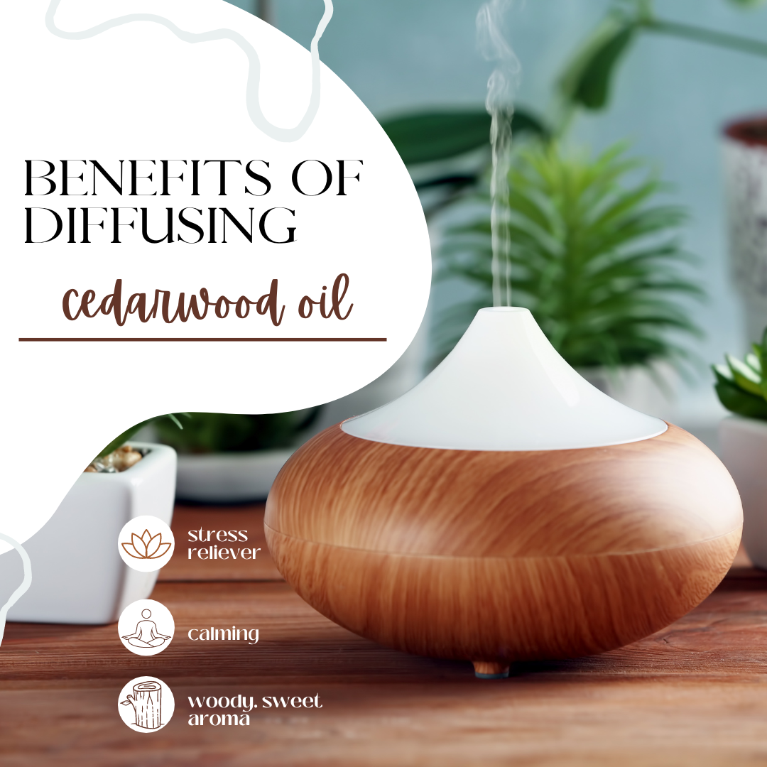 Cedarwood (Texas) Essential Oil 100% Pure Many Sizes Free Shipping