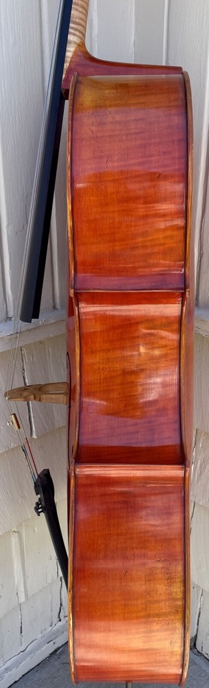 Frederich Wyss cello