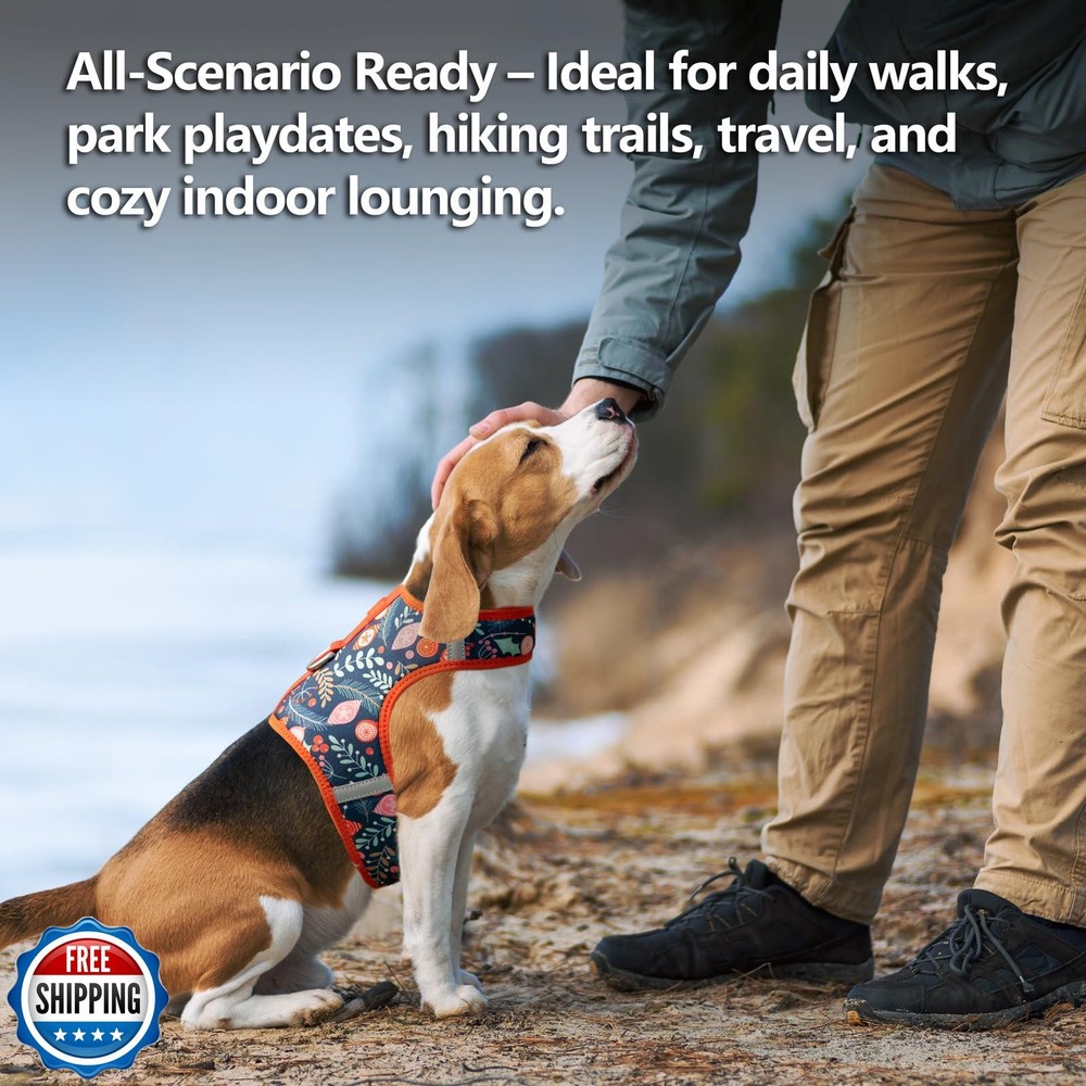 Sunraymascota Dog Harness for Small Sized Dog,Hook-and-Loop Easy
