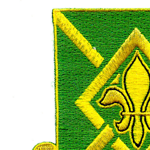 384th Military Police Battalion Patch