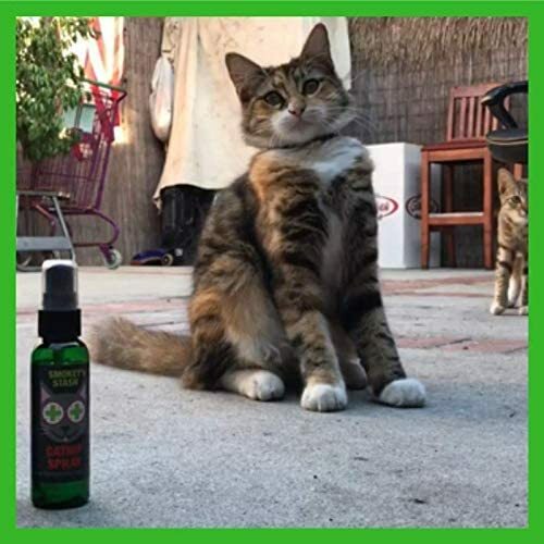 Smokey's Stash 2oz catnip spray for cats
