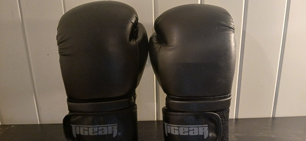 Boxing Gloves 12 oz