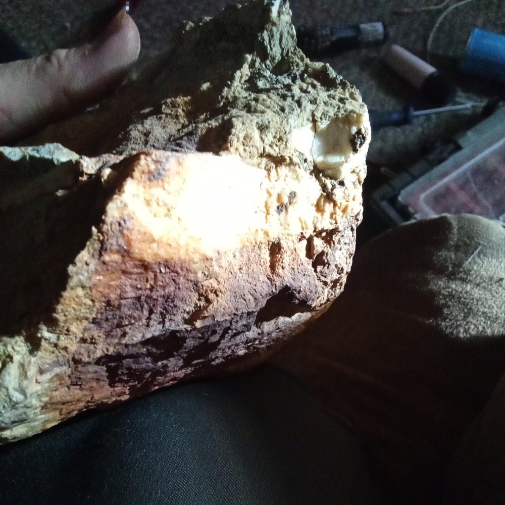 Nor Cal Gold Ore