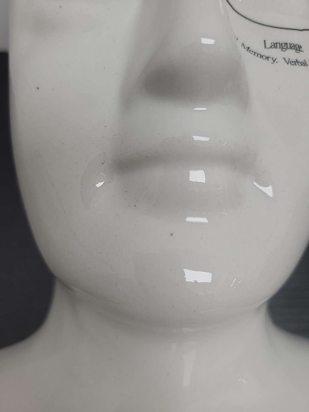 Phrenology Head 12" Ceramic Model Bust L. N. Fowler