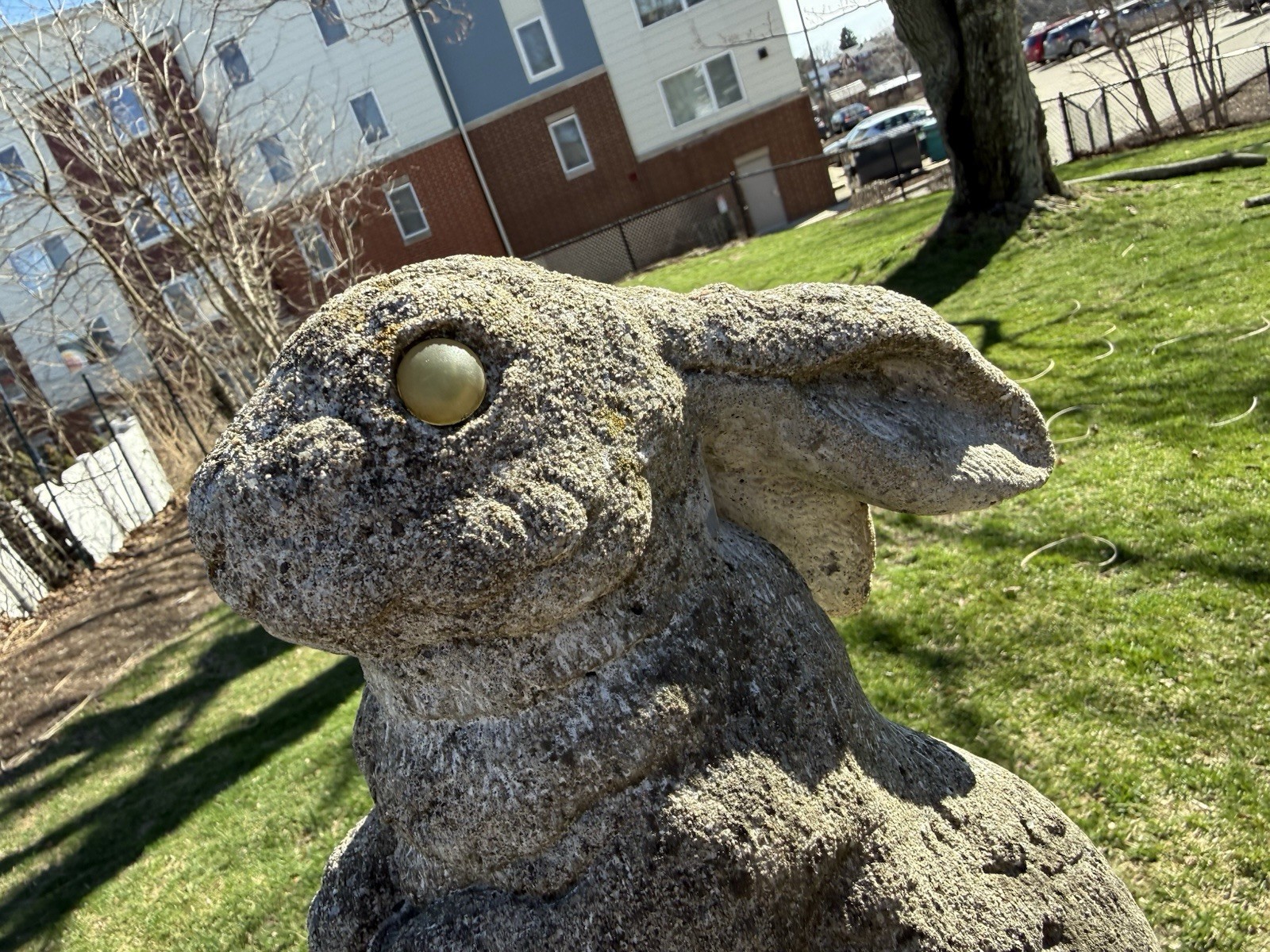 Vintage English Hare concrete bunny rabbit garden statue art
