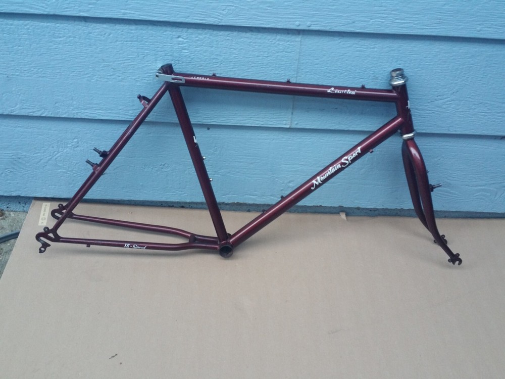 Vintage Old School 80s LeeWorld Mountain Sport ATB Frame + Fork Large