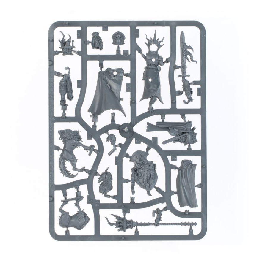 Lord-Veritant with Gryph-Crow - Stormcast Eternals - Age of Sigmar - Skaventide