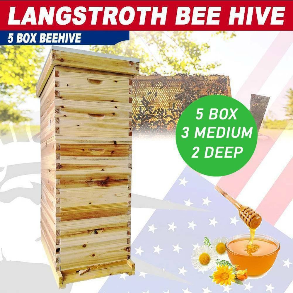 5-Layer Langstroth Bee Hive Beginner-Friendly Beehive Starter Kit