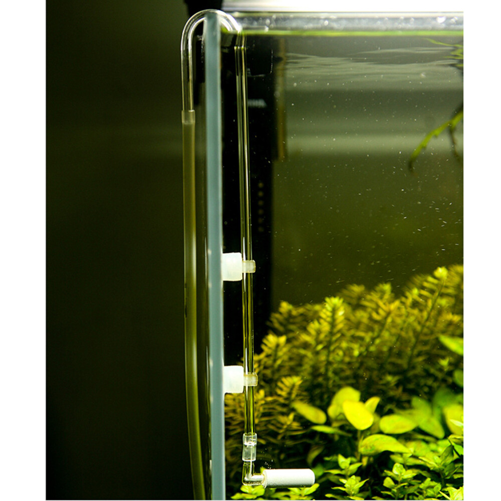 Co2 Regulator Aquarium Co2 Diffuser Aquarium Co2 Diffuser Plants