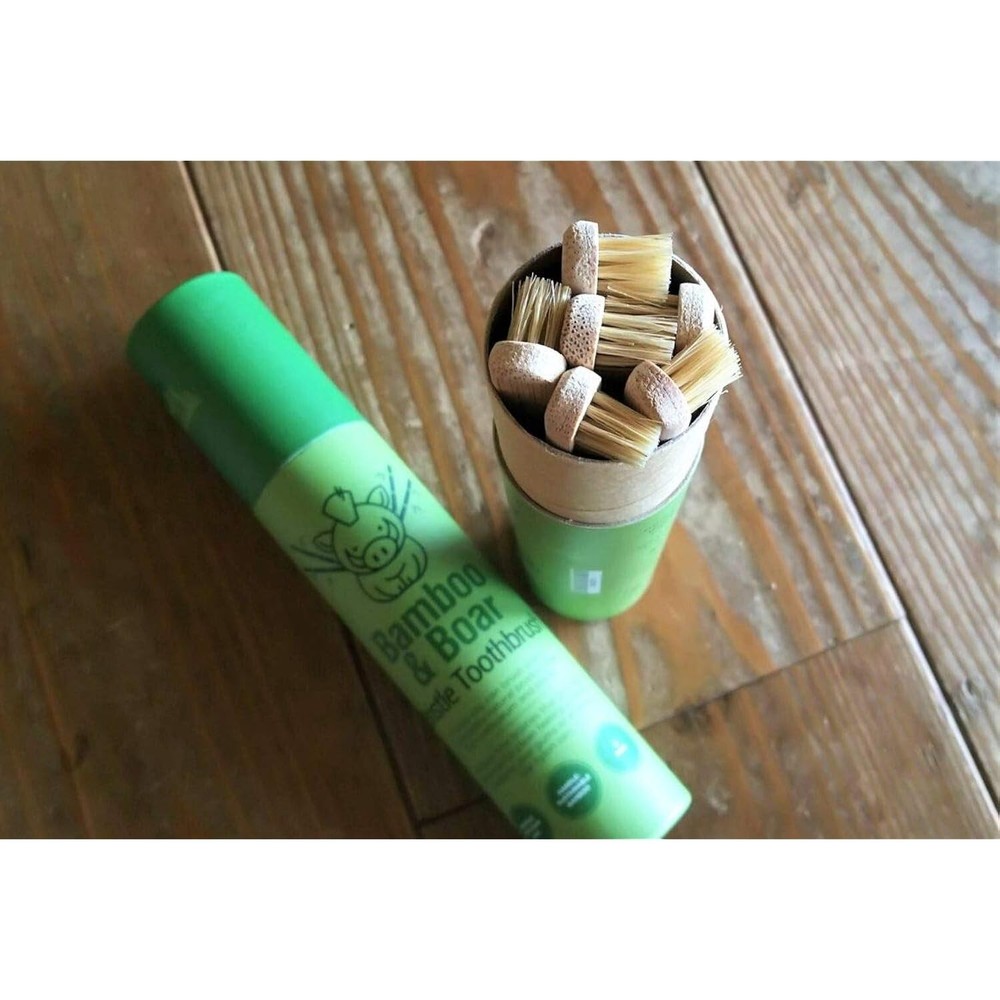 Guy Natural Bristle Bamboo Toothbrush 6Pack Compostable Biodegradable Zero Waste