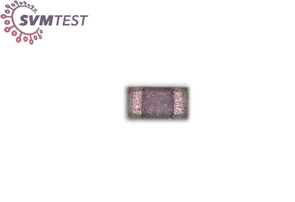 TDK C1005C0G1H0R5C050BA Capacitor