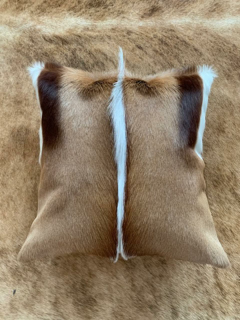 Springbok Skin Pillow Case 17x17" Springbok Skin Cushion Case Beige Backing