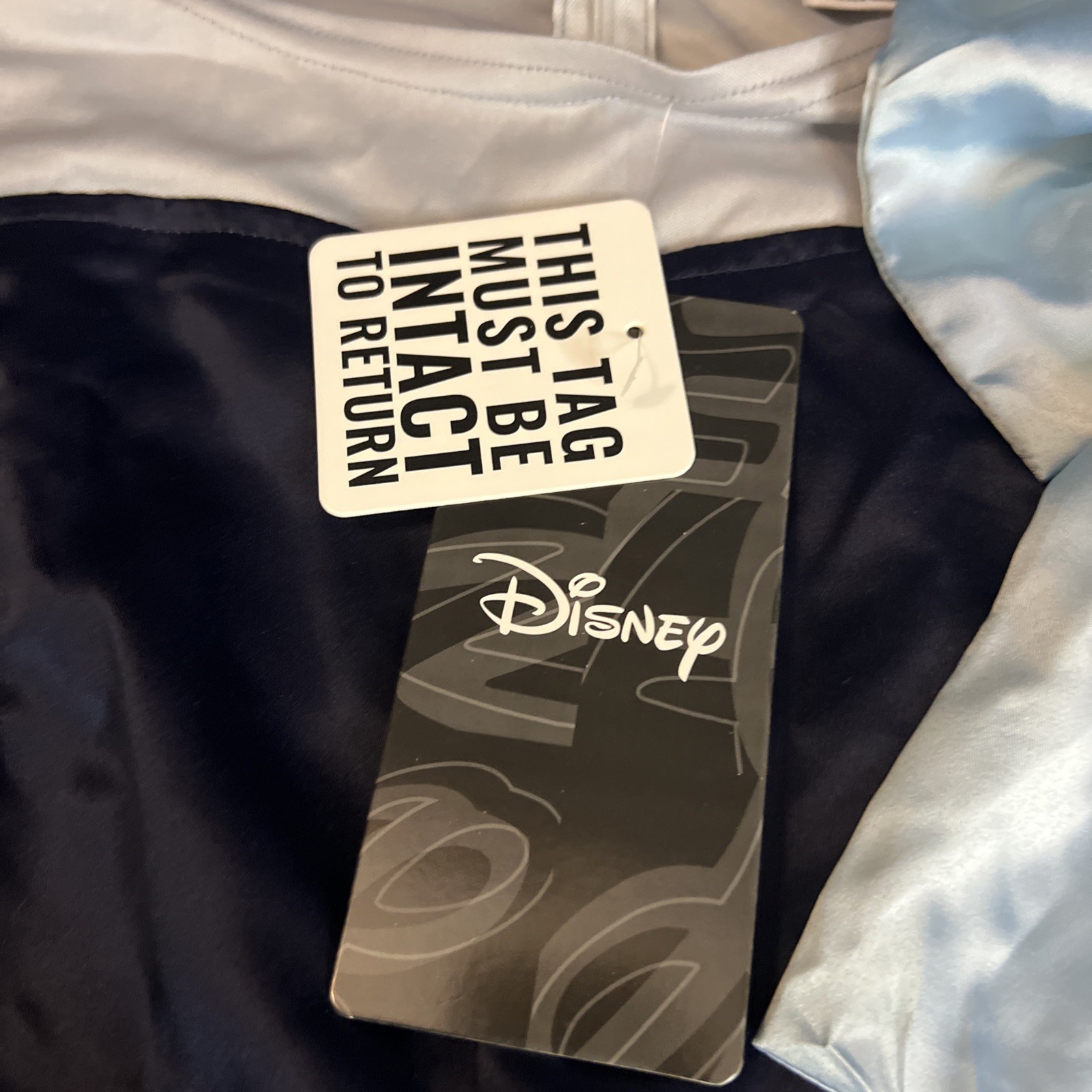 Disney Sleeping Beauty Aurora/Briar Rose Wms Dress NWT Adt Med Cosplay Costume