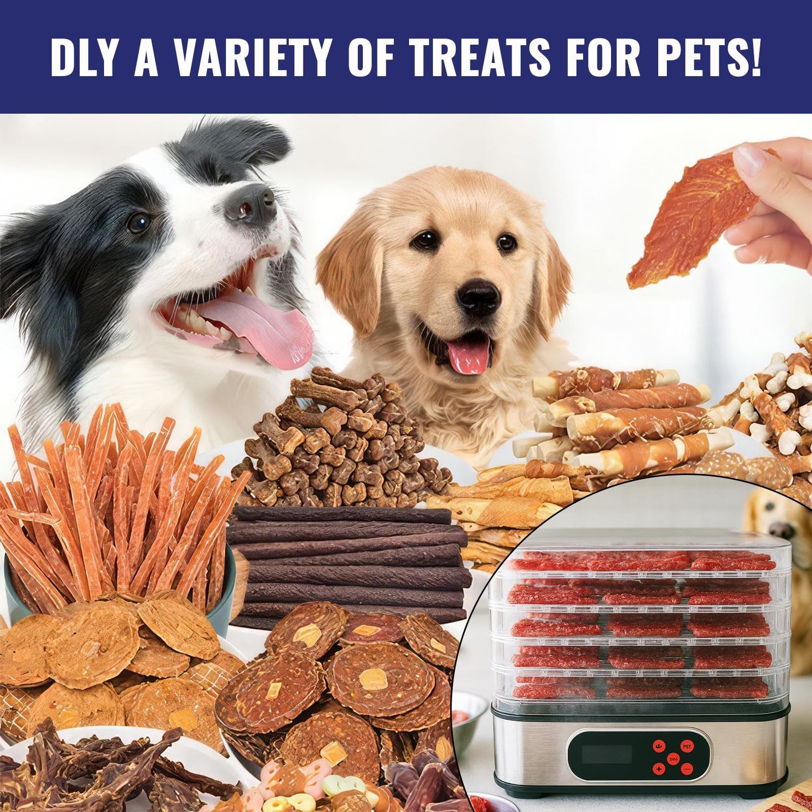 Food Dehydrator Machine, Stainless Steel Dehydrater for Fruit Herb,5 Stackabl...