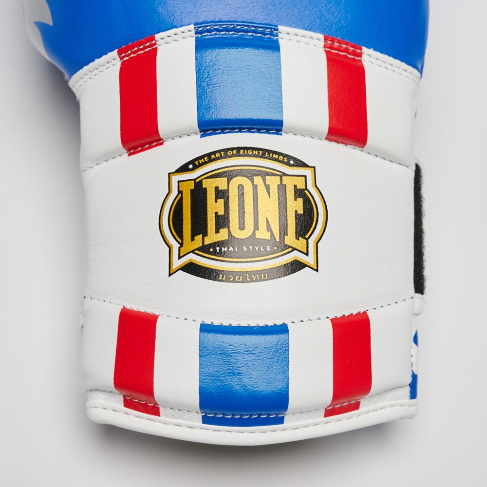 , Thai Style Boxing Gloves 14oz. GN114