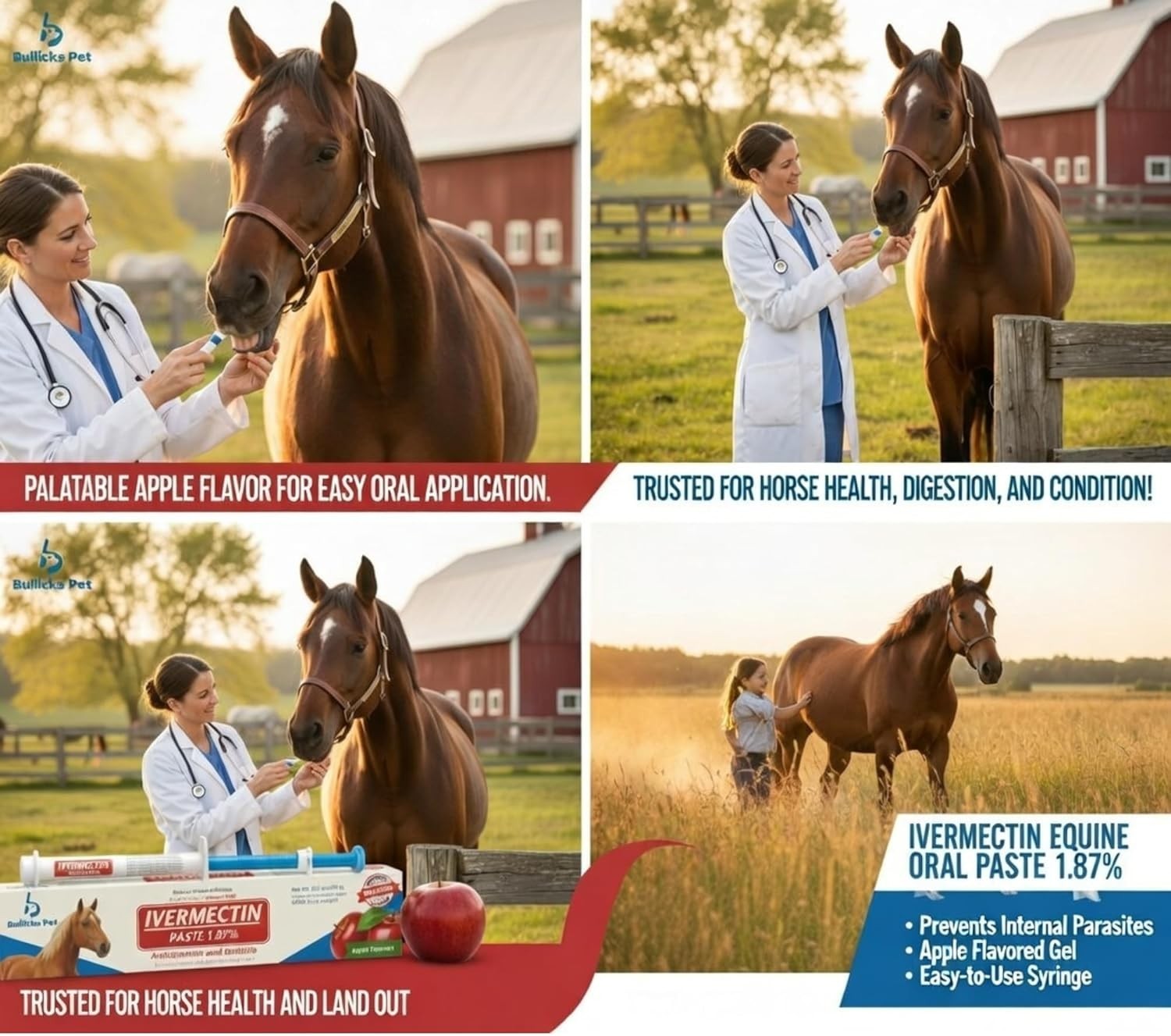 4 Pack New Paste Horse Dewormer Apple Flavor Exp 1/28 Free Shipping USA Bullicks