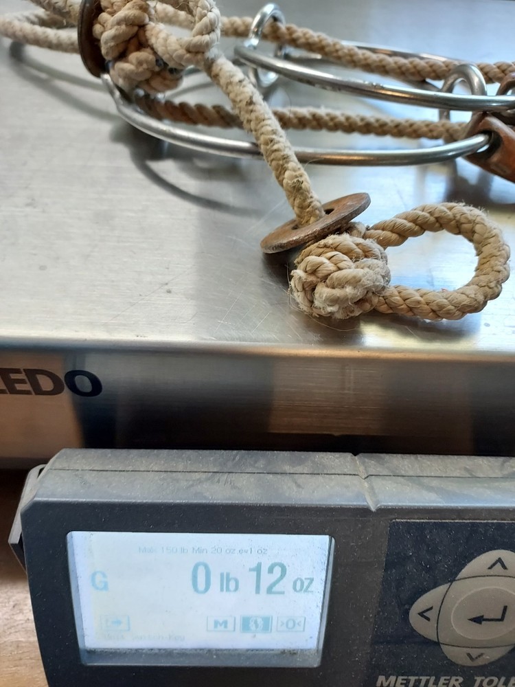 Large Ring Gag Snaffle Bit - 5½" Port - 0630251