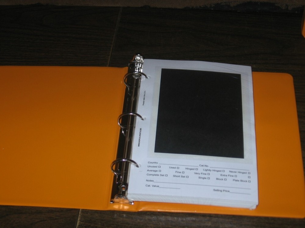 100 Glassine Stock Pages Sunburst Orange Binder Display US Stamp Plate Blocks