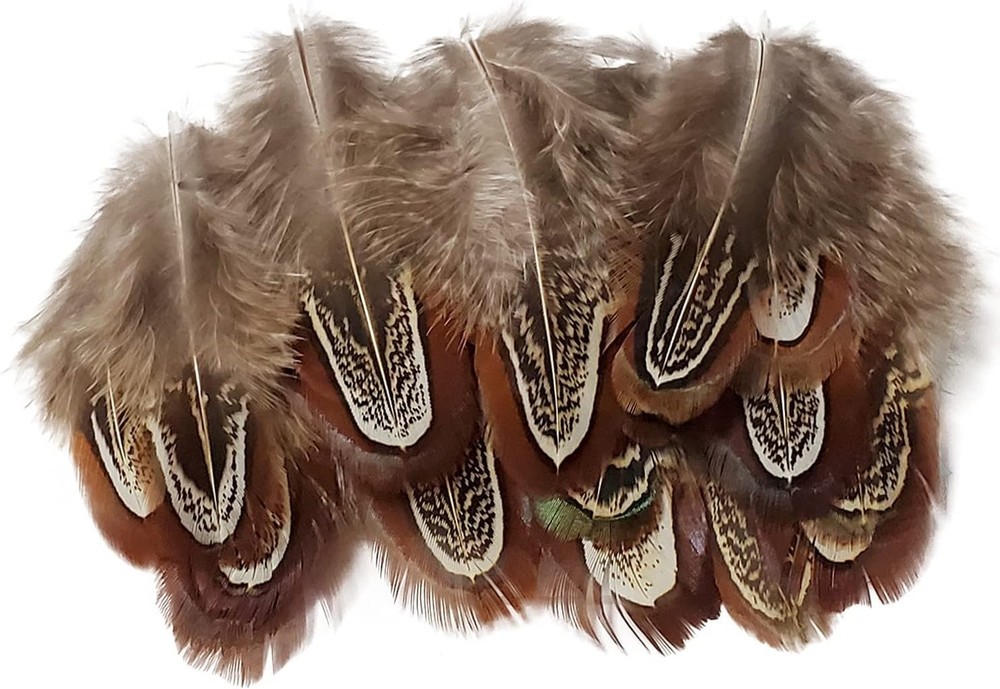100 pcs Eco-Friendly Pheasant Feathers 2-3 inch for Crafting & Decorating