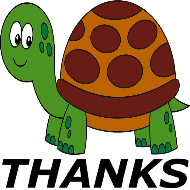 30 Custom Cute Turtle Thanks Personalized Address Labels