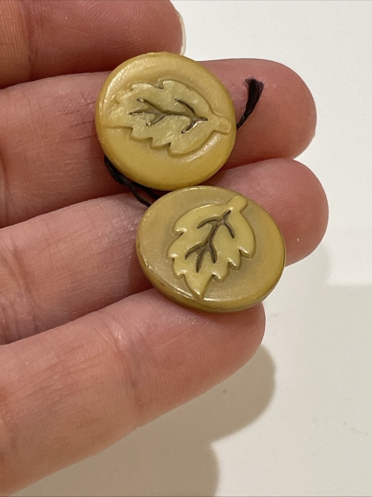 2 Vintage Celluloid Plastic Leaf Buttons 3/4”