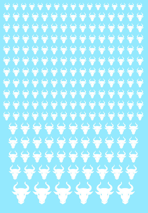 A6 - White Bull Heads Transfer Sheet