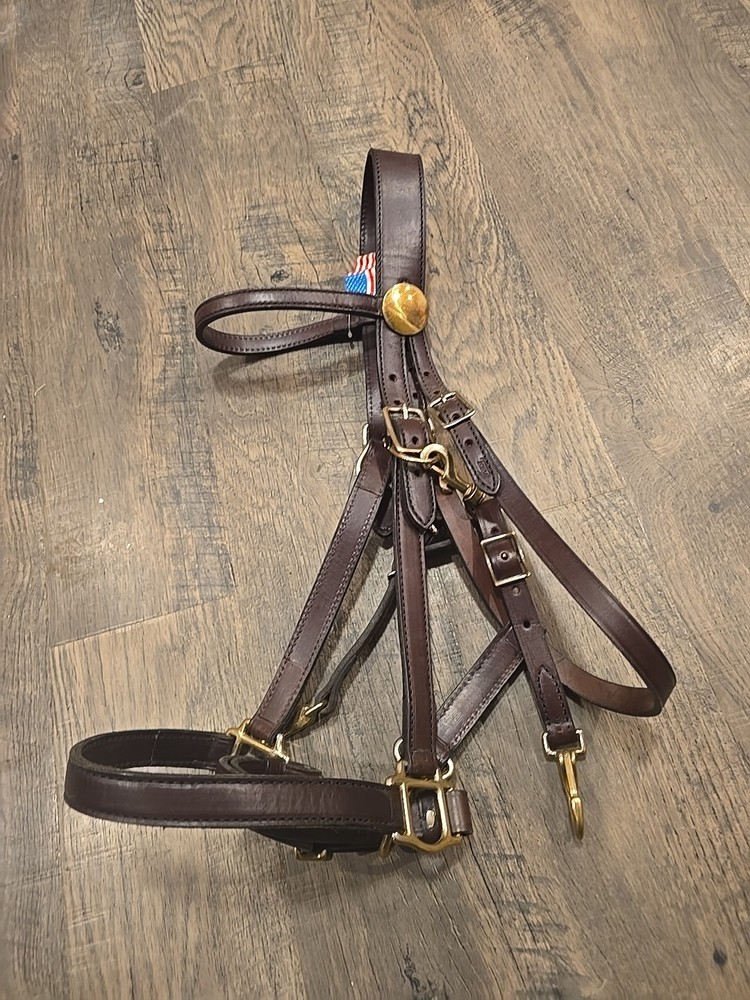 halter bridle combo