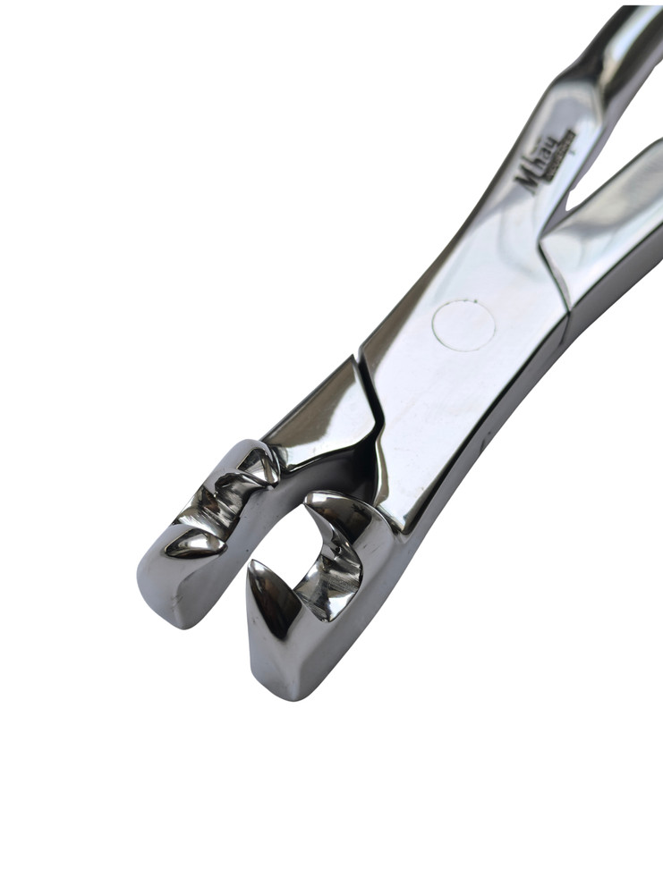 4 Prong Pony Forceps 12"