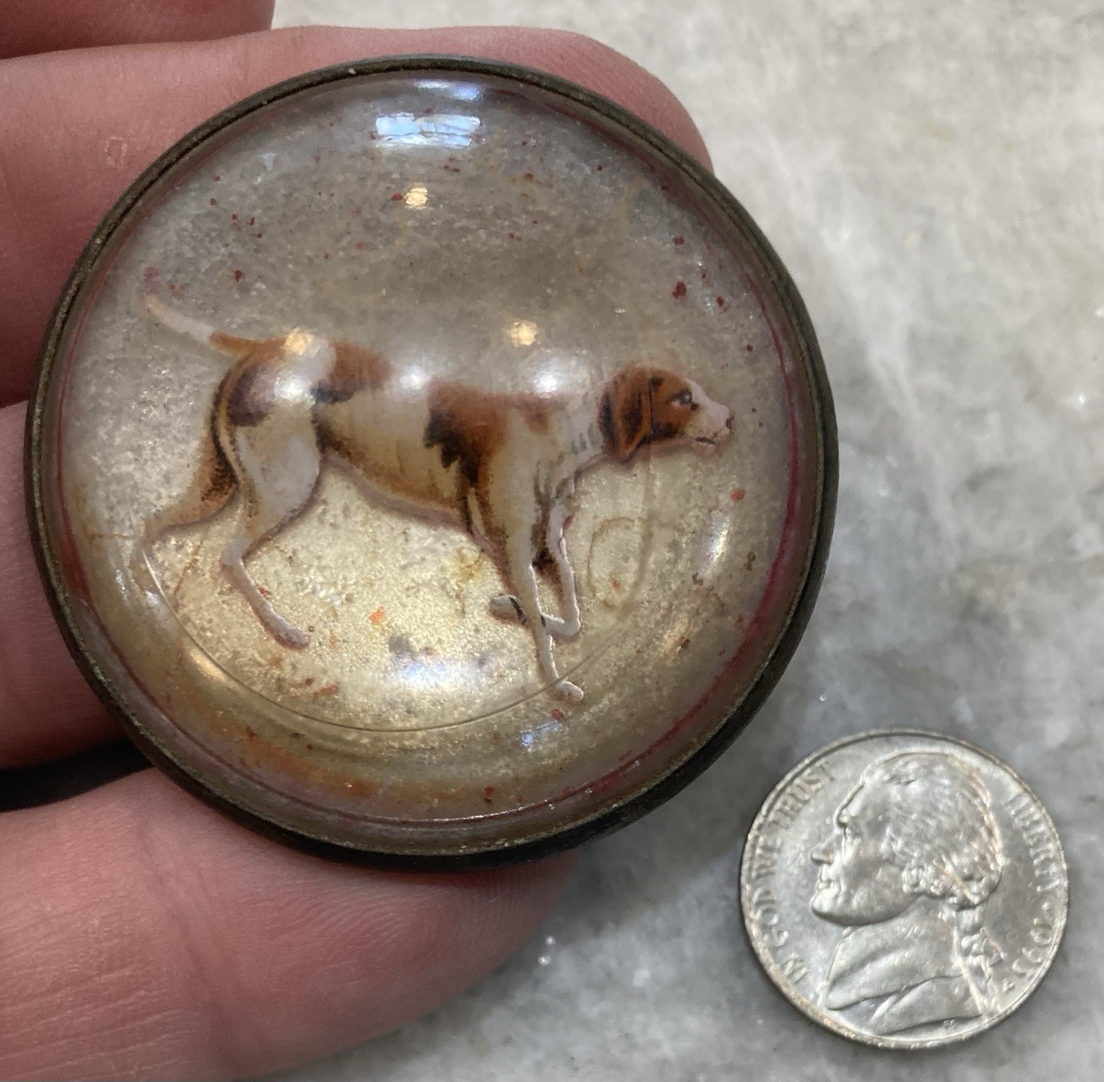 Antique Original Vintage Horse Bridle Rosette Bird Dog Brass And Glass Free Ship