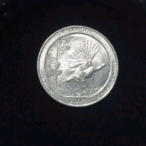 2015 Kisatchie Quarter Strike Thru Error