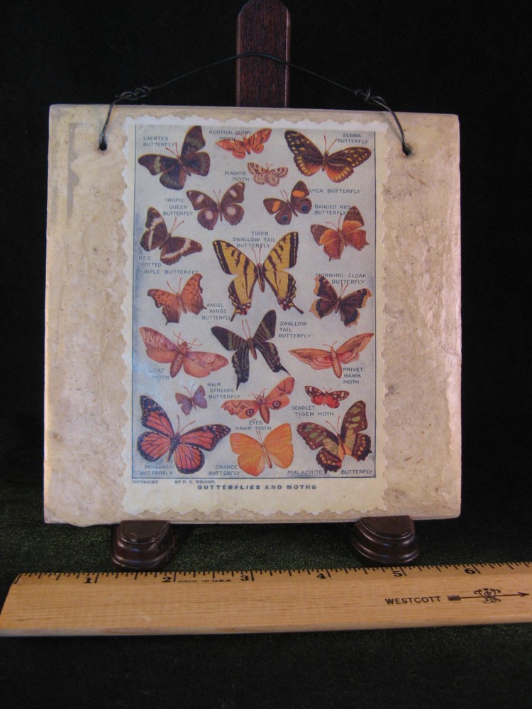 Butterfly & Moth Postcard on Tile Wall Art 5 7/8" square - EUC