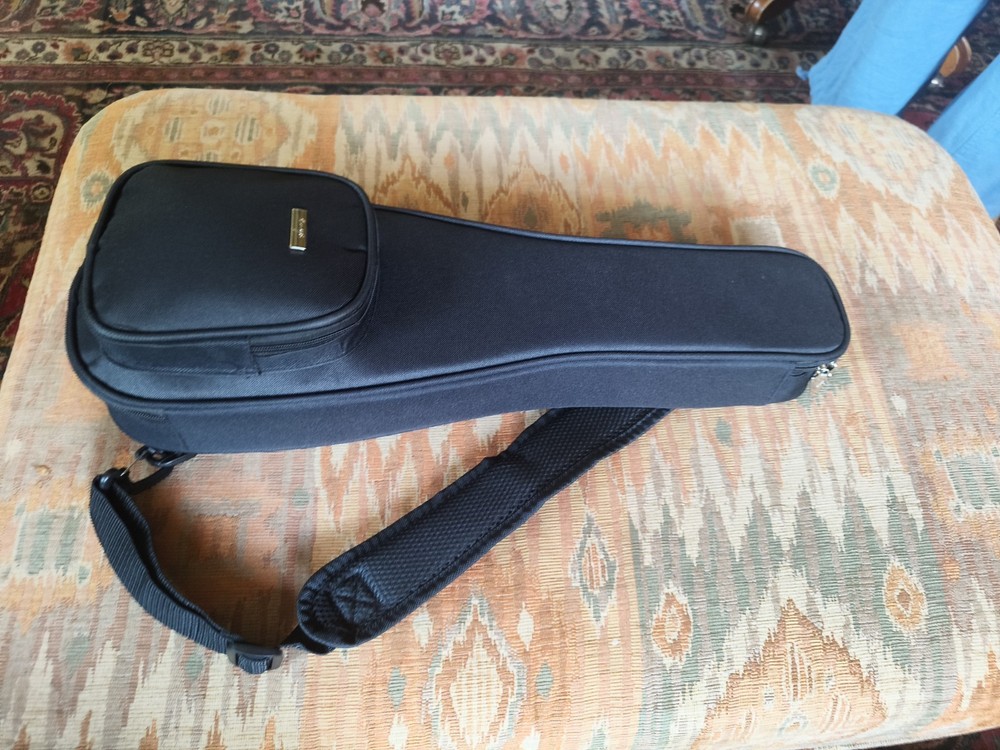 Enya Pineapple Soprano Ukulele EUP-X1 HPL Koa