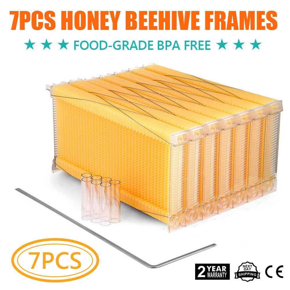 7 PCS Auto Shedding Beehives Frames Bee Frames for Brood Beekeeping Boxes House