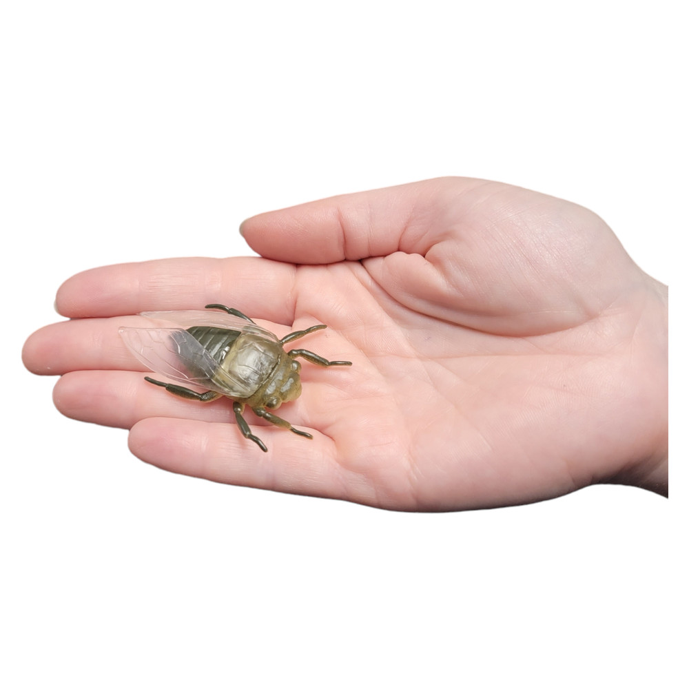 Large 2"-3" Insect Set (12 Pack) Plastic. 12 Realistic Looking Mini. Lady Bug