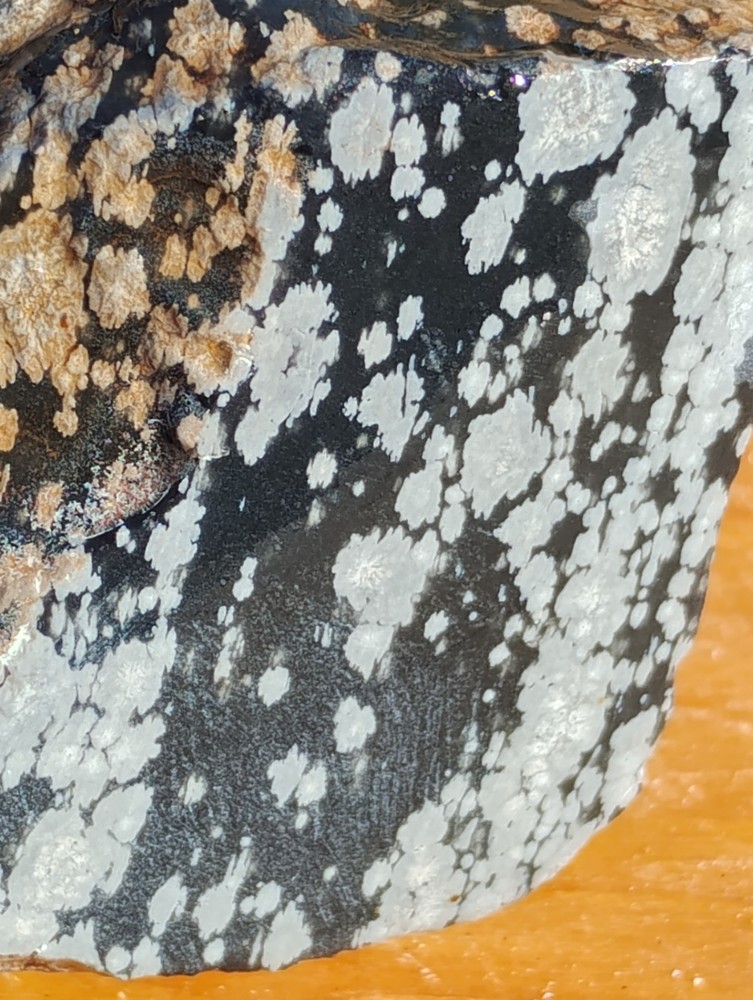 Snowflake Obsidian Rough Specimen
