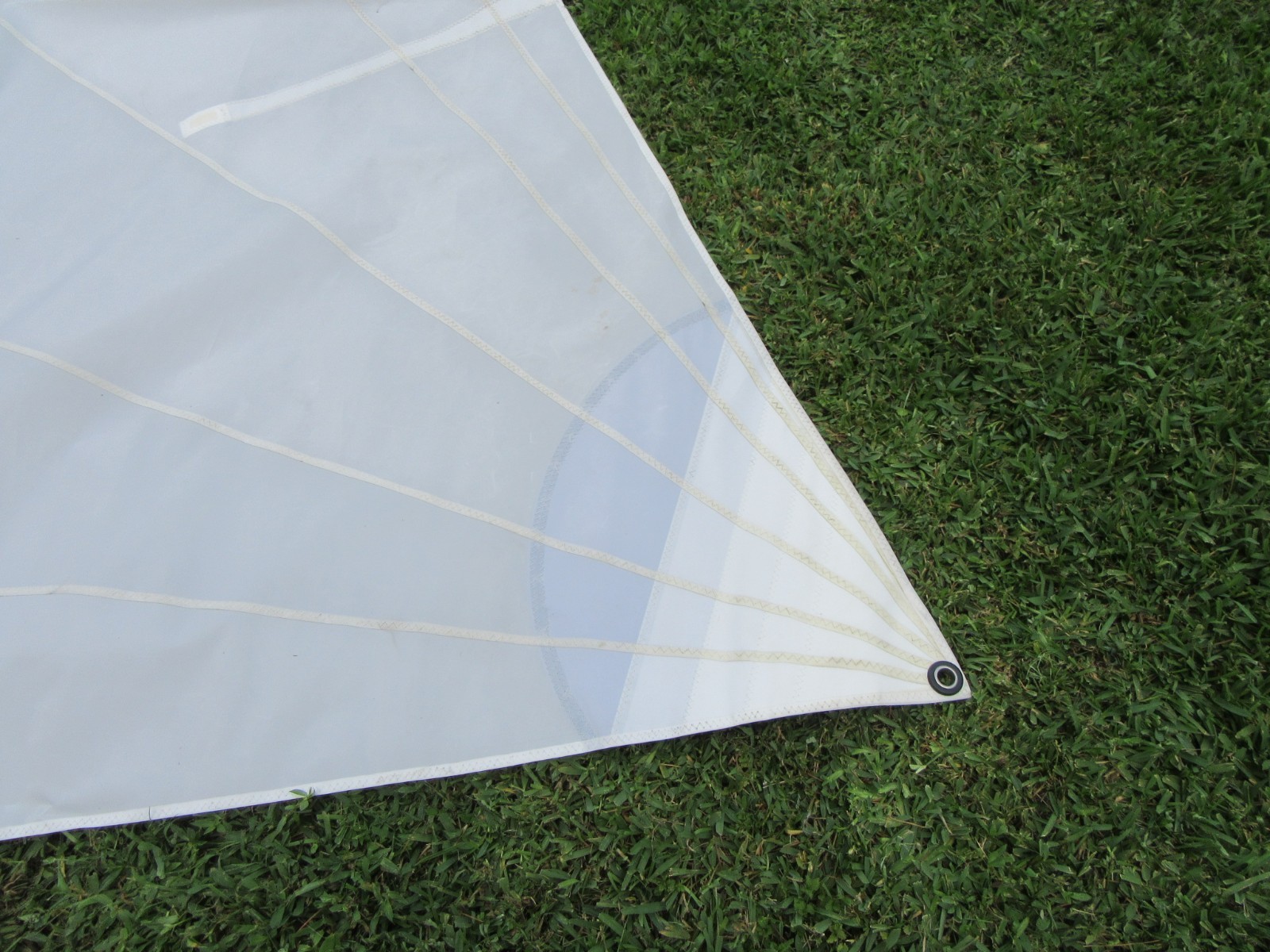 Radial training sail for Laser® by iSails Regular